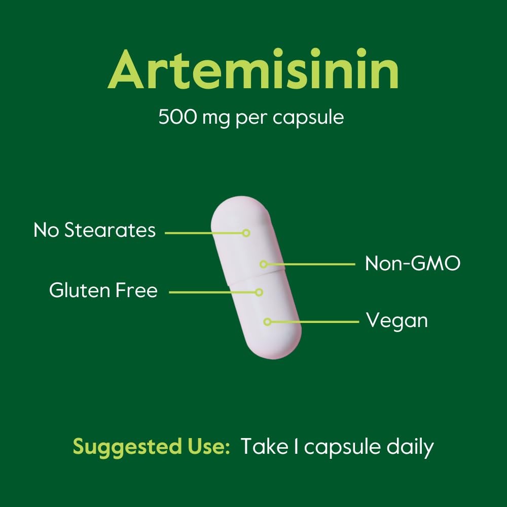 BESTVITE Artemisinin 500mg per Capsule (60 Vegetarian Capsules) - No Stearates - No Flow Agents - No Fillers - Vegan - Gluten Free - Non GMO