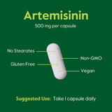 BESTVITE Artemisinin 500mg per Capsule (60 Vegetarian Capsules) - No Stearates - No Flow Agents - No Fillers - Vegan - Gluten Free - Non GMO