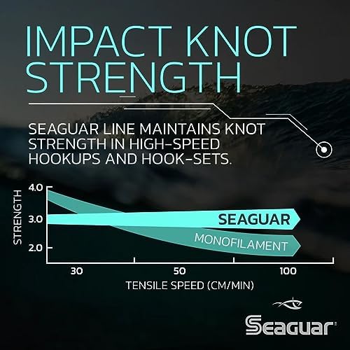 Seaguar Blue Label Fishing Leader Line for Saltwater, 100% Fluorocarbon, Clear, Multiple Sizes