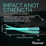 Seaguar Blue Label Fishing Leader Line for Saltwater, 100% Fluorocarbon, Clear, Multiple Sizes