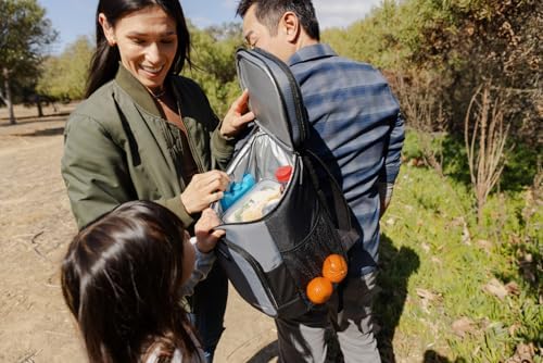 Igloo Maxcold Ice Blocks, Reusable