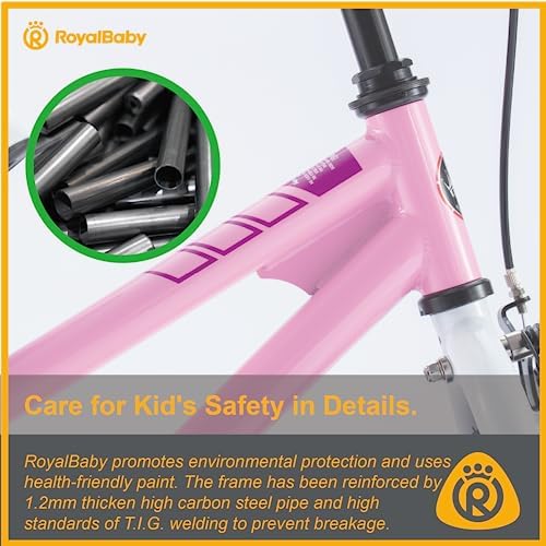 RoyalBaby Kids Bike EZ Freestyle Training Free Balance to Pedal Easy Learning Bicycle, 12-18 Inch for Toddlers to Big Kids