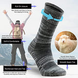 Ortis Men's Merino Wool Cushion Crew Socks with Moisture Wicking Control Light Weight Breathable for Outdoor Hiking Cycling