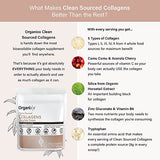 Organixx Clean Sourced Collagen Powder, Hydrolyzed Protein Powder Collagen Peptides with Vitamin C, and Types I, II, III, V, X, For Skin, Joints, Hair and Nails, Aging Support Unflavored (15 Servings)