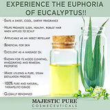 Majestic Pure Eucalyptus Essential Oil | 100% Pure and Natural Eucalyptus Oil | Premium Grade Essential Oils for Hair Care, Home Diffusers, Aromatherapy, Massage and Humidifiers | 4 Fl Oz (Pack of 2)