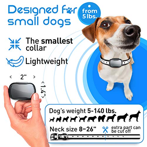 Extra Small Size Dog and Puppy Training Collar with Remote for Small Dogs 5-15lbs and Puppies with Shock - Waterproof & 1000 Ft Range