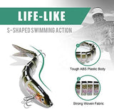 TRUSCEND Swimmax for Freshwater and Saltwater, Lifelike Fishing Lures for Bass Trout Crappie Walleye Pike Bluegill Salmon, Swimbait for Bass Fishing, Amazing Fishing Gear Gifts for Family Fishing