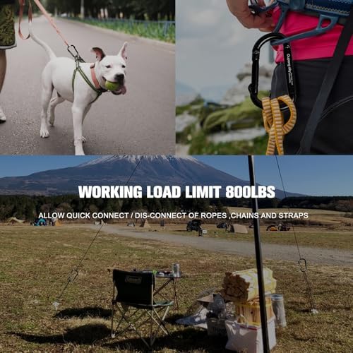 Carabiner Clip - Heavy Duty Carabiners Carabeaner D Ring Shape,Key Chain Clip Hook,Keychain Clip,Multipurpose for Camping, Hiking,Backpacking or Other Outdoor Activities.