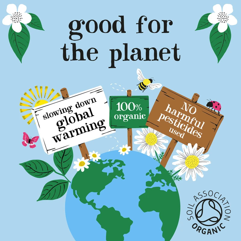 Clipper Organic Dandelion Tea Bags | 120 Dandelion Leaf Infusion Teabags (6 x Boxes of 20) | Bulk Buy for Home & Catering | Caffeine-Free Herbal Tea Bags | Natural, Unbleached & Biodegradable