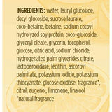 Burt's Bees Citrus & Ginger Body Wash, 12 Fluid Ounces