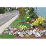 CREEPING ELFIN THYME 5,000 CREEPING ELFIN THYME SEEDS FOR GRASS REPLACEMENT, ROCK GARDENS, ETC.