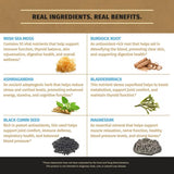 Rooted Origins Sea Moss Multimineral with Magnesium, Ashwagandha,  Black Cumin Seed, Burdock Root, and Bladderwrack, Premium All-in-1 Formula, 60 Capsules, MADE IN USA