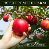 Indian Summer 100% Tart Cherry Juice, Made with Real Fruit, Real Montmorency Cherry Juice Packed with Antioxidants (46 Ounce, Pack of 2)