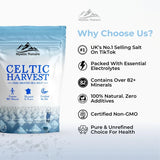 Mystic Nature Celtic Harvest Fine Ground Sea Salt - 1.1lb - 18oz | Rich in 82+ Essential Minerals | Organic 100% Natural & Unrefined | Hand Harvested Celtic Crystals from France