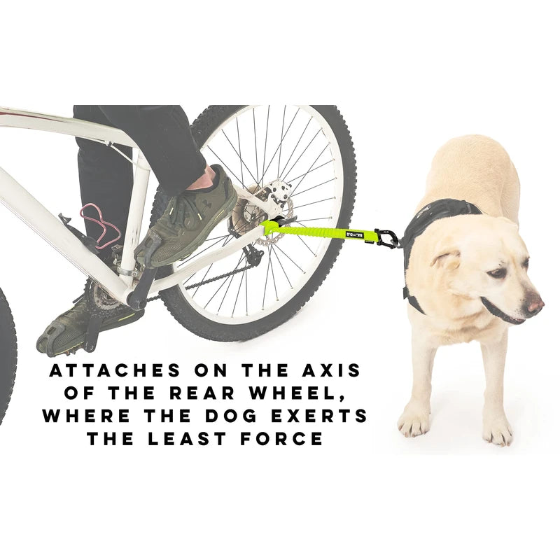 Dog Bike Leash, Hands Free Dog Leashes. Dog Bicycle Lead for Small, Medium and Large Dogs, Designed to Lead one or More Dogs with Maximum Safety, Easy Assembly Without Tools. Patented Product.