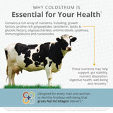 Crucial FOUR Bovine Colostrum – 8Oz Grass Fed Colostrum – Low Temp Dried Colostrum Supplement for Dietary Support, Immune Booster – Easy to Mix and Highly Bioavailable