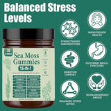 Yrefdmo Sea Moss Gummies 16-in-1 | Irish Seamoss Gummies for Women Men with Black Seed Oil & Ashwagandha & Burdock & Bladderwrack | Boosts Immune Support, Skin Health and Digestion | 30 Gummies