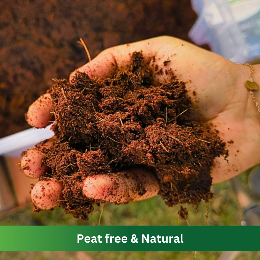 Premium Coco Coir by PlantoCare – Professional Grade Coconut Coir Growing Medium, pH Neutral & Low EC – Ideal for Seed Starters, Potting Mix, Hydroponics & Houseplants [5 Bricks of 650 Grams Each]