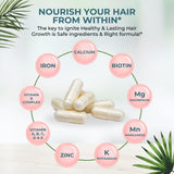 VITAL NUTRITIVE Vital Hair Complex – Biotin & Vitamin B Hair Vitamins for Women & Men – Supports Healthy Hair, Skin & Nails – Hormone-Free, Gluten-Free – Hair Supplement for Women & Men