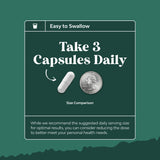 Digestive Enzymes with Ox Bile - Ox Bile Supplements for No Gallbladder with Trypsin, Papain & Bromelain Enzyme for Pancrease Cleanse & Detox - Pancreatin Digestion Enzymes for Women & Men - 90 Ct