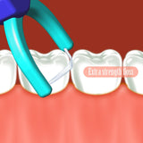 T.Smile Evolutionary Clean Dental Flossers, Kit of Refills Plus Mid-Length Handle (2 Handles + 200 Refills)