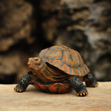 Danmu 1Pc of Polyresin Tortoise Statue 12 9/10" x 9 2/5" x 5 1/2"