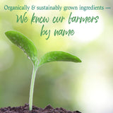 Garden of Life Raw Organic Perfect Food Energizer Juiced Green Superfood Powder - Yerba Mate Pomegranate, 30 Servings, Green Superfood Powder & Probiotics, Gluten Free Whole Food Greens Supplements