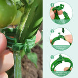 100 Secured Plastic Plant Clip, New Reusable Plant Support Clips Plastic Clips Tomato Clips for Securing Plants for Climbing Plants, Grape, Vegetable Stems (100 Pcs)