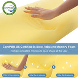 Anvo Memory Foam Pillow, Neck Contour Cervical Orthopedic Bed Pillow for Sleeping Side Back Stomach Sleeper, Ergonomic Design for Neck and Shoulder Pain Relief, Blue White, Firm