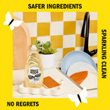 Molly's Suds Liquid Dish Soap | Clean, Simple Ingredients | Extra Scrubbing Power | Unscented, 24 oz - 2 Pack