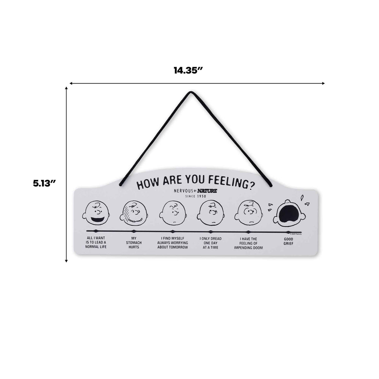 Peanuts How Are You Feeling Hanging Metal Sign - Funny Peanuts Wall Decor for Home - Great Gift Idea