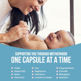 GOBIOTIX Postpartum Vitamins for Breastfeeding Moms - Postnatal Lactation Supplement with Organic Herbs, Minerals, Nutrients for New Mothers and Baby - Postpartum Essentials, Non GMO, Vegan, 60 Caps
