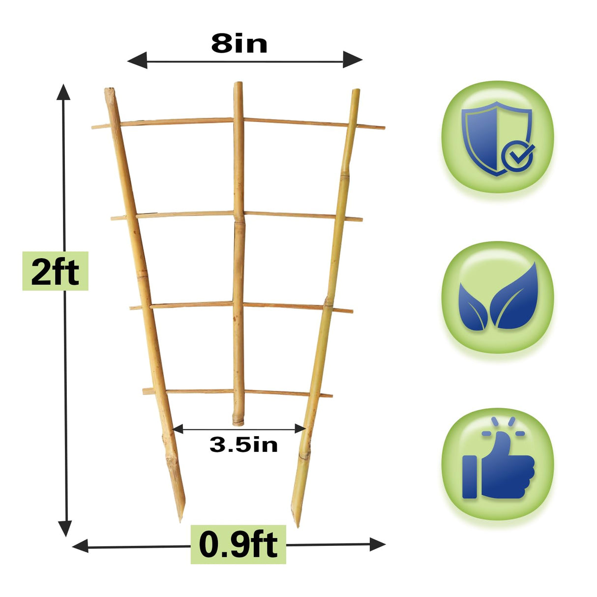 Sprigra Bamboo Trellis 2FT 3 Pack, Plant Ladder Stakes 24 Inches, Natural Fan-Shaped Bamboo Trellis for Orchid Vines, Monarchs, Ivy and Other Plants Climbing, Help Plant Growth