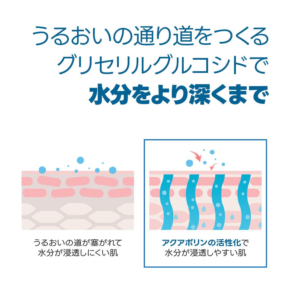 ROUND LAB Birch Juice Moisturizing Sun Cushion SPF 50+ PA++++ 15g