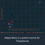 Noomadic Maqui Berry, 60 Capsules | 500mg Each, Antioxidant (High ORAC), Immune System Support, Supports Dry Eyes (Supports Tear Production), Standardized Extract (10% Anthocyanins)