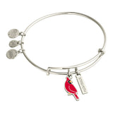 ALEX AND ANI 'Strength' Cardinal Duo Charm Bangle Bracelet - Red Cardinal Charm, Inspirational 'Strength' Accent, Nickel-Free, Cardinal Jewelry for Women (Shiny Silver)