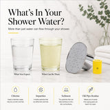 Afina High Pressure Rain Filtered Shower Head - 2.5 GPM - Chrome