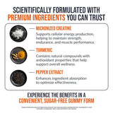 EcoWise Wellness Creatine Monohydrate Gummies 5000 mg, Mango Flavor, 120 Sugar-Free Vegan Chews, Creatine Supplement for Daily Routine