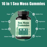 Hemdnt Sea Moss Gummies 16-in-1, with Bladderwrack & Burdock Root, Organic Immune Support, Energy, Digestion – Vegan, Non-GMO, Gluten-Free (60 Gummies)