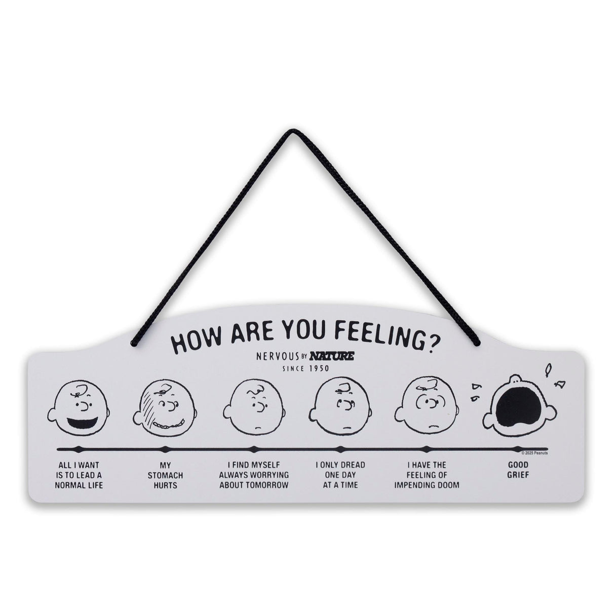 Peanuts How Are You Feeling Hanging Metal Sign - Funny Peanuts Wall Decor for Home - Great Gift Idea