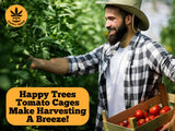 Happy Trees Large Heavy Duty Tomato Cages - Support Trellis for Climbing Vegetables and Plants - 18" x 18" x 58" - Thick Gauge Galvanized Steel, Collapsible Easy Storage, 3-Pack, Made in USA