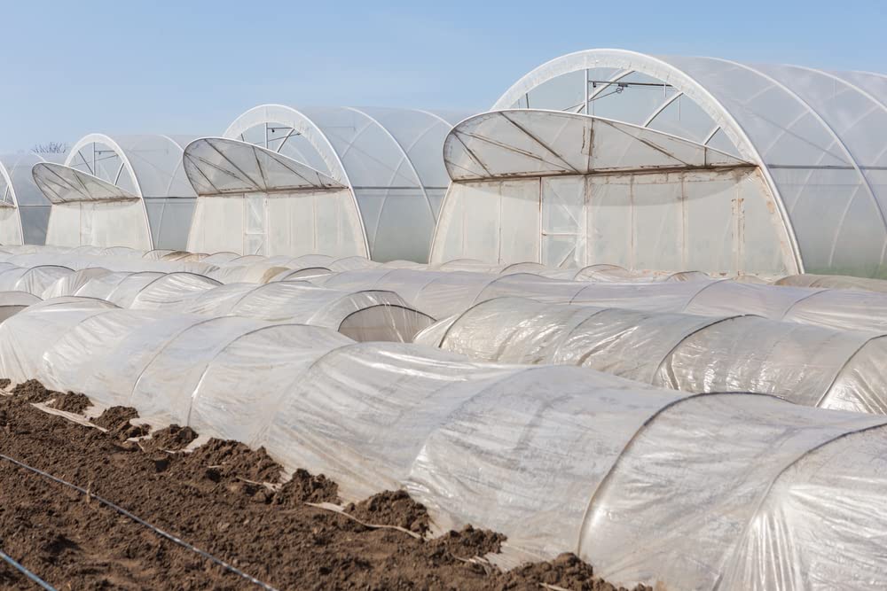 Farm Plastic Supply - Greenhouse Clamp 20 Pack - (3" Long x 3/4" Wide) - White ABS Clamps for Greenhouse, ABS Clips, Greenhouse Clamps for Farming, Gardening, Agriculture