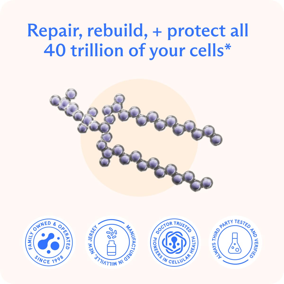 BodyBio PC - Phosphatidylcholine for Brain Health, Mental Clarity, Cognitive Function, Cellular Repair & Healthy Aging, Phospholipid Complex Supplement for Gentle Daily Detox