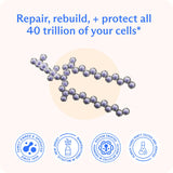 BodyBio PC - Phosphatidylcholine for Brain Health, Mental Clarity, Cognitive Function, Cellular Repair & Healthy Aging, Phospholipid Complex Supplement for Gentle Daily Detox