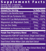 purple tree Next Day, Post-Celebration Wellness - Take Tomorrow | Replenish & Feel Your Best | Ashwagandha, Ginger, Peppermint, Milk Thistle, Electrolytes, Vitamins, 90 Pills