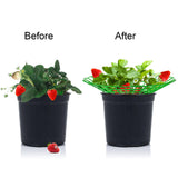 Pumtus 20 Pack Strawberry Supports, Strawberry Plant Stand With 3 Sturdy Legs, Strawberry Growing Racks, Strawberry Growing Frame Holder Cage, Keeping Berries Clean