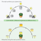 LED Grow Lights for Indoor Plants 2 Pack, Smart Full Spectrum USB Small Plant Lights with Remote, Height Adjustable, Auto On/Off Timer, Ideal for Home Decoration