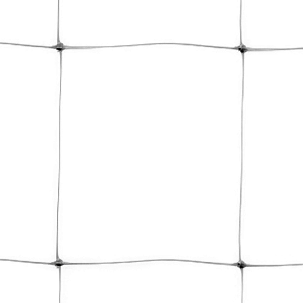 Tenax 100522970 Hortonova Plant Trellis Net, 6.5' x 50'/ 79" x 50', White