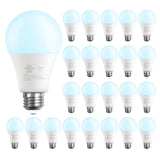 DAYBETTER A19 LED Light Bulbs, 60 Watt Equivalent LED Bulbs, Long Lifespan High Brightness 800LM Daylight White 5000K, E26 Standard Base Light Bulbs for Home Bedroom Office, Non-Dimmable, 24 Pack
