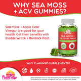 Sea Moss Gummies with Apple Cider Vinegar, Bladderwrack, and Burdock Root Organic- Sea Moss Gummies for Adults and Kids- Vegan, Organic, Irish Seamoss and ACV – 70 Ct